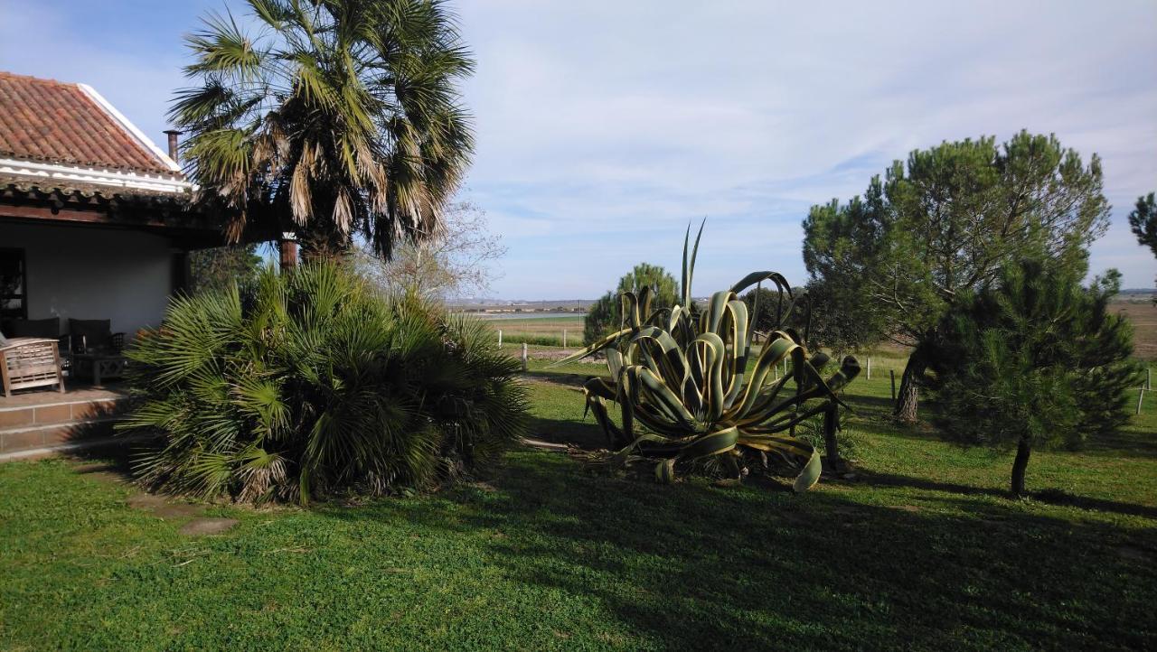 Lodge Monte Do Sobral Alcáçovas 외부 사진