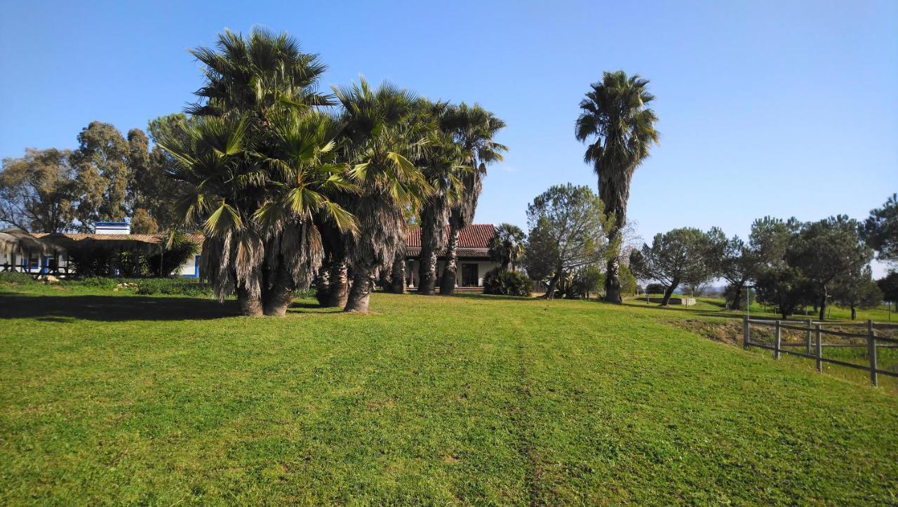 Lodge Monte Do Sobral Alcáçovas 외부 사진