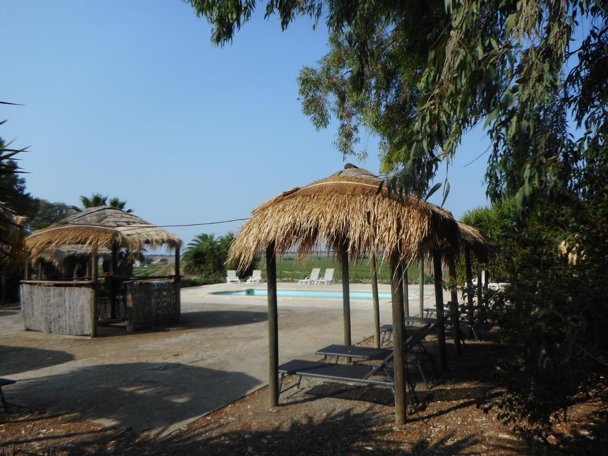 Lodge Monte Do Sobral Alcáçovas 외부 사진